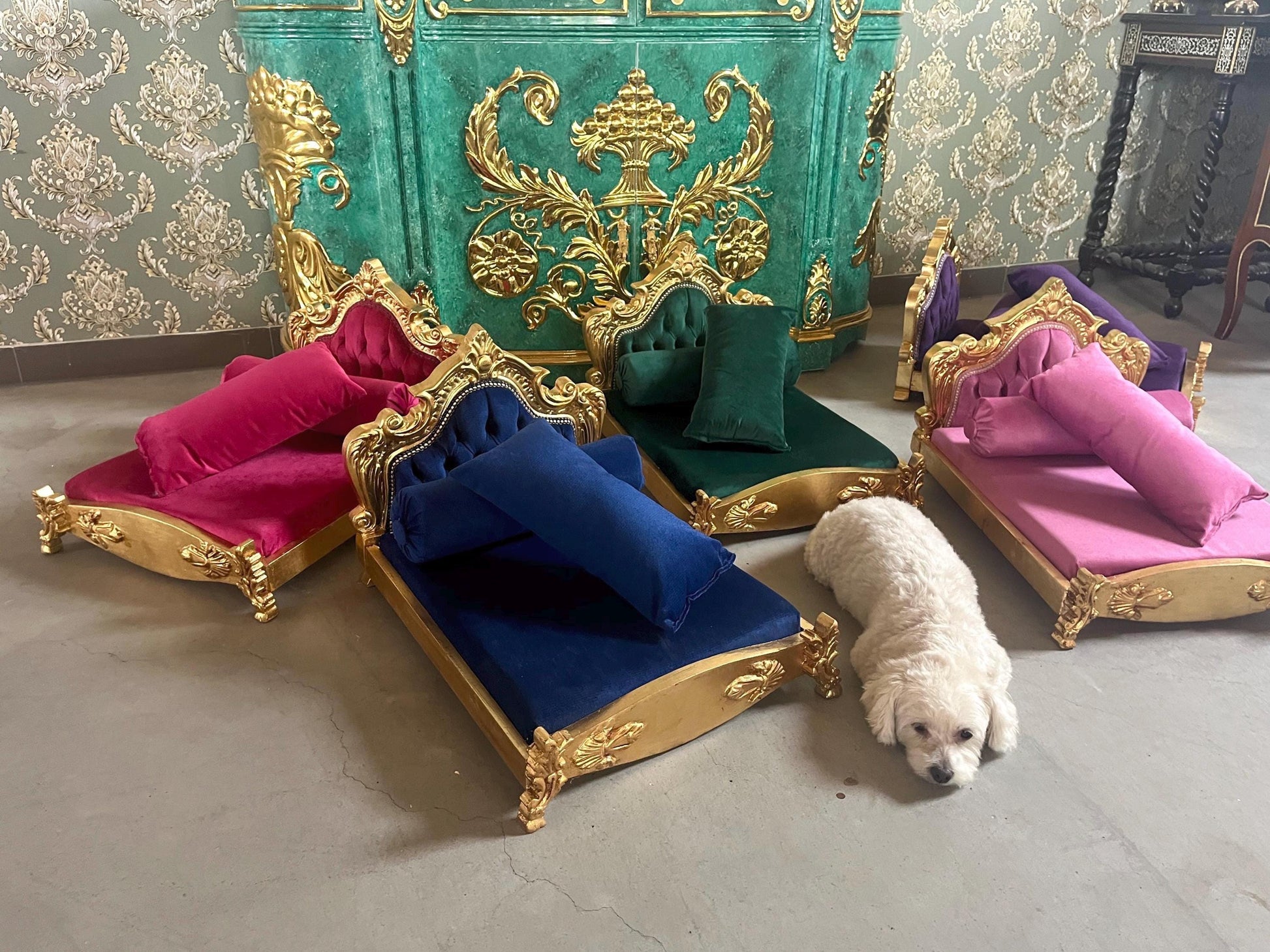 Small Pet Sofa French Louis Style Dog Bed in Gold Finish Cute Baroque Rococo Style Cat Bed in Hot Pink Velvet & Purple Velvet for Happy Pet
