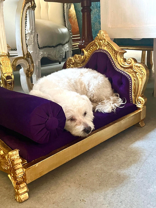 Small Pet Sofa French Louis Style Dog Bed in Gold Finish Cute Baroque Rococo Style Cat Bed in Hot Pink Velvet & Purple Velvet for Happy Pet