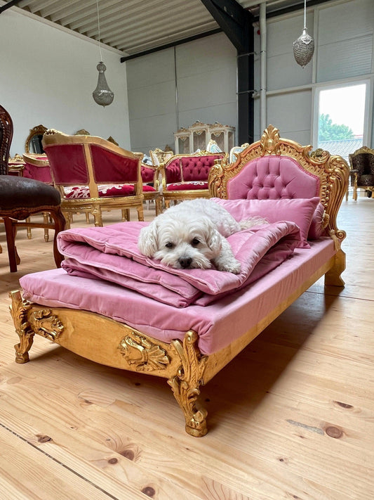 Pet Bed French Louis Baroque Style Mid Size Dog Bed with Blanket & Pillow for Home Decor in Pink Velvet