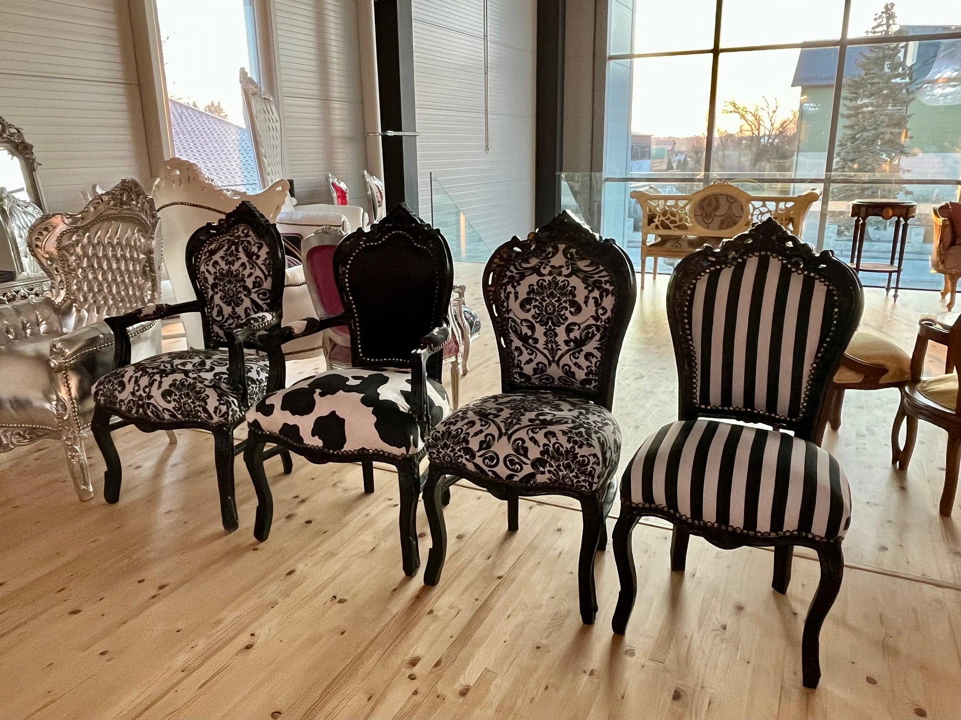 Armchair Louis XV Black Velvet Chair French Baroque Armchair in Animal Print For Lounge Room Chair Dairy Cow Print Black Armchair Home Decor