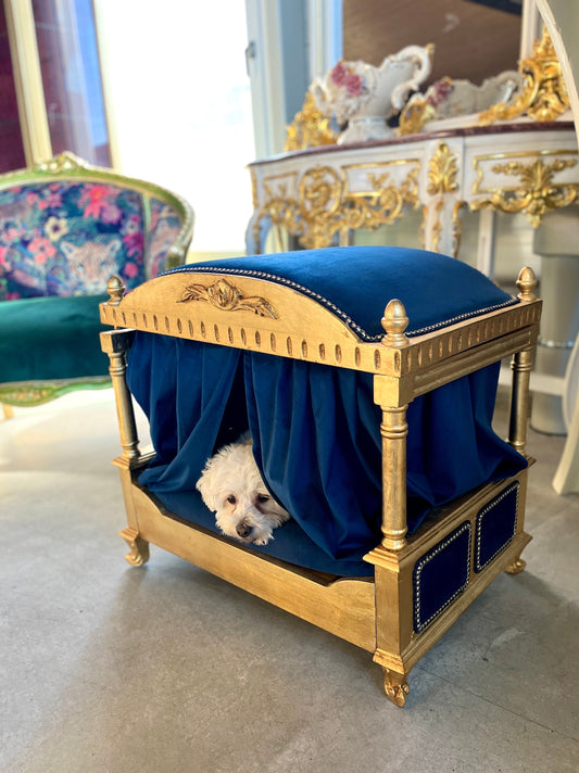 Pet Bed Cute French Baroque Style Dog Sofa Bed in Retro Royal Baroque Rococo Style Velvet Blue in Gold Finish Pet Furniture