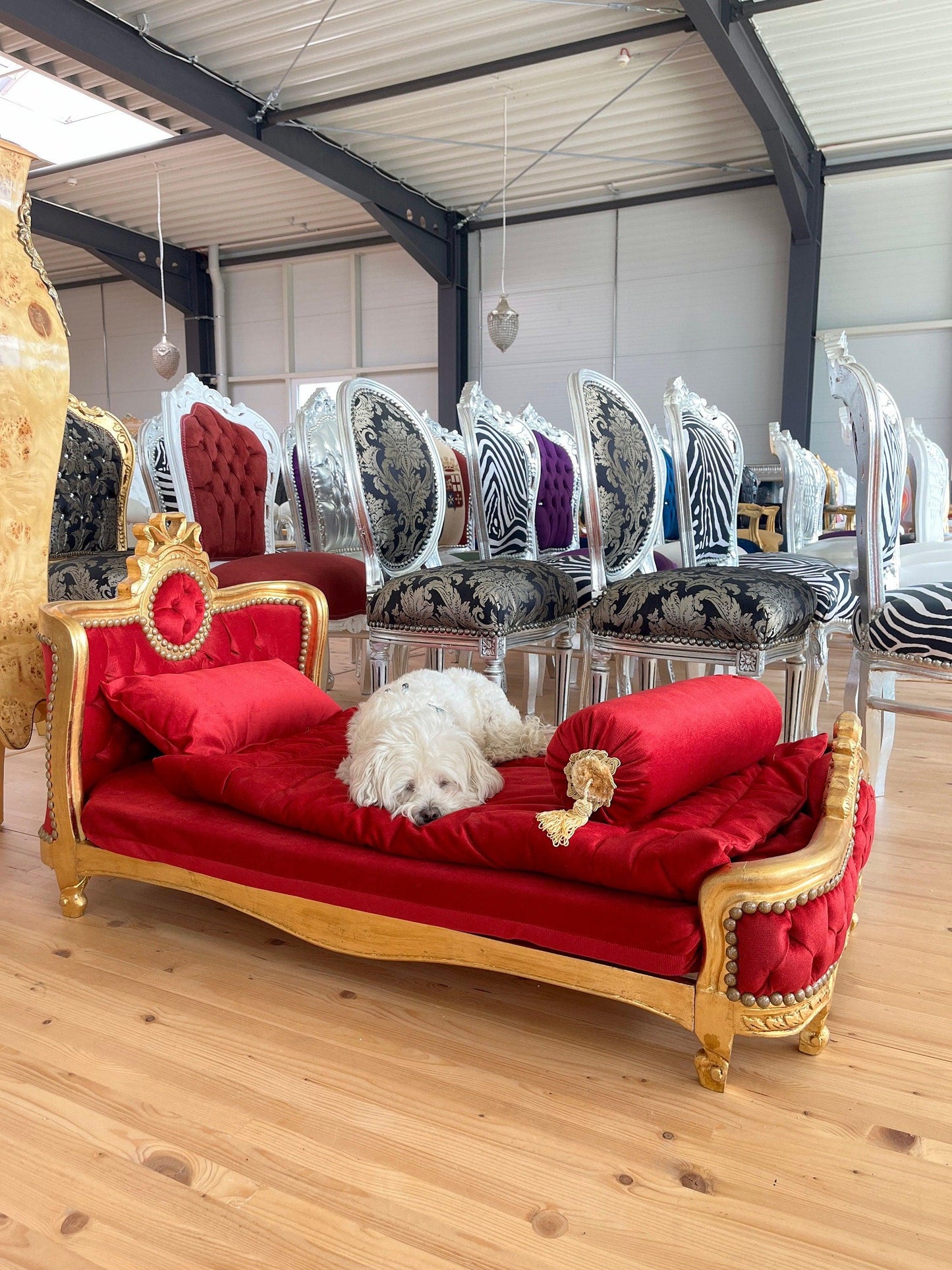 Pet Bed French Louis Baroque Style Big Size Dog Bed with Blanket n Pillow for Home Decor Velvet Red Velvet Blue & Hot Pink Gold Finish