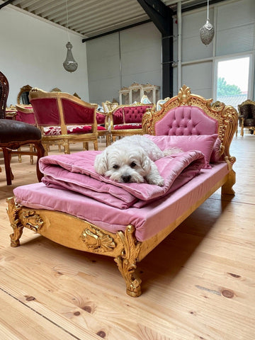 Pet Bed French Louis Baroque Style Mid Size Dog Bed with Blanket & Pillow for Home Decor in Pink Velvet